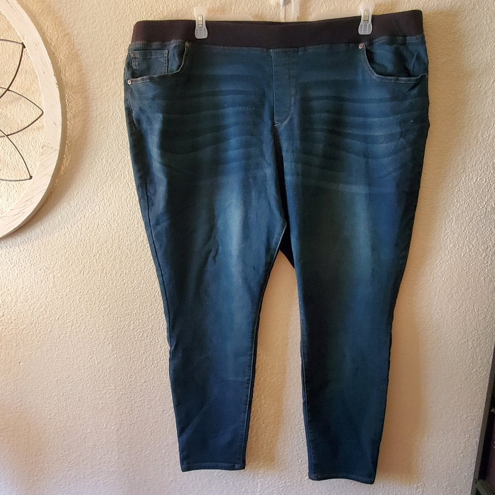 Terra and Sky 3X/ 24w-26w pull on skinny jeans